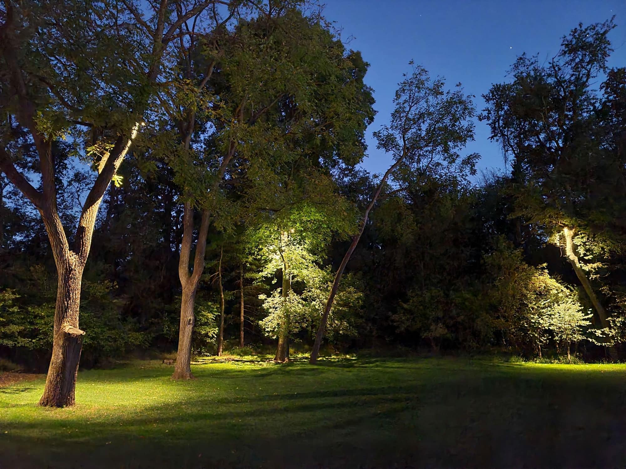 Lower Macungie Modern Exterior Lighting, image 6
